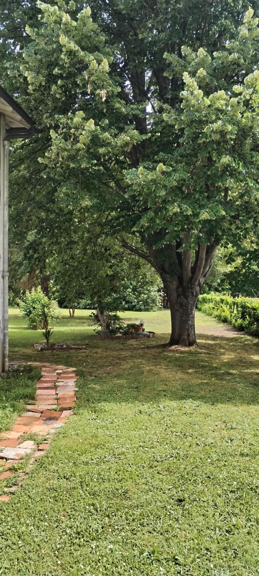 La Casanat Bed and Breakfast Montgiscard Εξωτερικό φωτογραφία